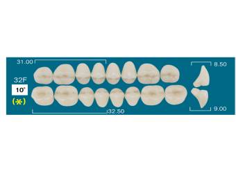 UP POSTERIOR 32F (10&ordm;)