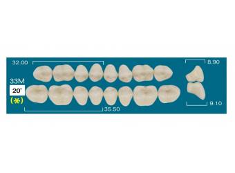 LOW POSTERIOR 33M (20&ordm;)