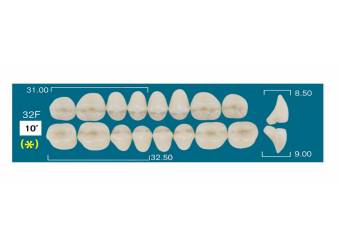 LOW POSTERIOR 32F (10&ordm;)