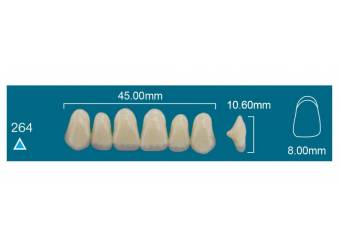 UPPER ANTERIOR 264
