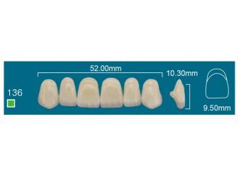 UPPER ANTERIOR 136