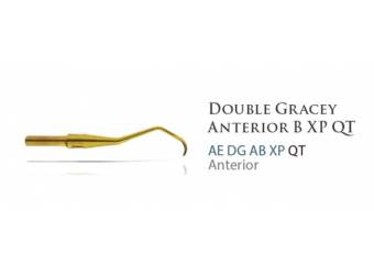 ANTERIOR