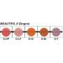SHOFU BEAUTIFIL II Gingiva - GUM Syringe Refill 2.5gm - Shade: G-DP - Dark PINK - #Y2257