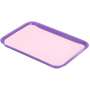 PLASDENT 8.5in  x 12.25in  Ritter B-DUSTY ROSE Heavyweight Paper Tray Cover 1000/Bx. #PAP-B10