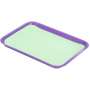 PLASDENT 8.5in  x 12.25in  Ritter B-GREEN Heavyweight Paper Tray Cover 1000/Bx. #PAP-B4