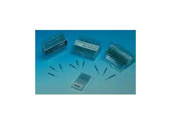 Regular SS Gold Plated Pins