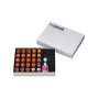 SHOFU VINTAGE PRO (PFM)  BASIC BUILD UP SET - #P0501