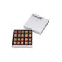 SHOFU VINTAGE PRO (PFM)  ENAMEL EFFECTS SET - #P0507