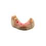 KEYPRINT  - KeyMask, 0.5kg/17.6oz - #4220002 - Mimics the feel of natural gums for printing gingival masks  3dResin