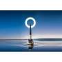 WOODPECKER - O-STAR - LED Curing Light unit 110v 220v  - # O-STAR