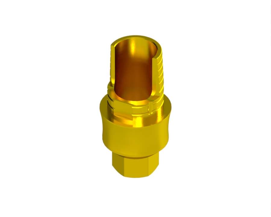 2G Angled Abutment — Internal Hex (INTHex) NP (Engaging 2g Angle 1501 624) — product photo