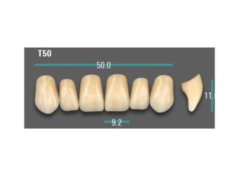 Anterior - B3