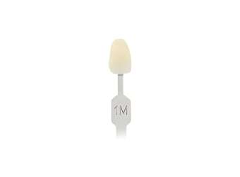 Toothguide 3D-Master Replacement Tabs
