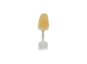 Toothguide 3D-Master Replacement Tabs