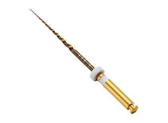 PROTAPER GOLD  21mm