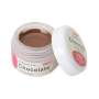 MIIYEN - AURORA -  Stain Chocolate ( Trans Fissure ) 4gr Zirconia Coloring Stain - # Chocolate