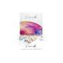 MIIYEN - PINK - Gingiva Tea Rose ( Trans Frost ) 4gr Zirconia Coloring Stain - # Tea-Rose1