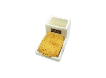 Brushmate Brush Washer | BESQUAL