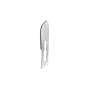 BESQUAL - Surgical Blades #10 - # 990-010