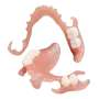 RODIN - Rodin BioArch RPD 3D resin for removable partial dentures.Compatible with leading 385&ndash;405 nm 3D printer systems. Shade: Neutral Rose. Size: 1 kg/Bottle. - # 24069