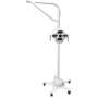 FLIGHT DENTAL - G.Comm iView Vision System with Camera, Trolley Mounted with Light Arm and Trolley Post and Base with Casters, Component to HDMI Converter, Italy Manufactured - # TR-307GIV